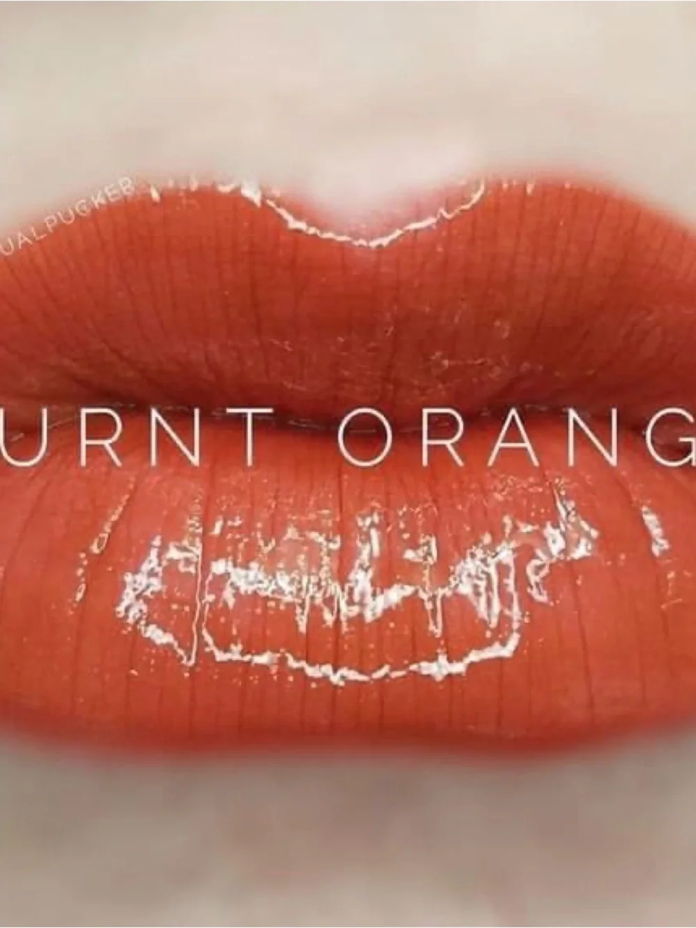 SeneGence Lipsense Longlasting lipstick new never opened Burnt  Orange